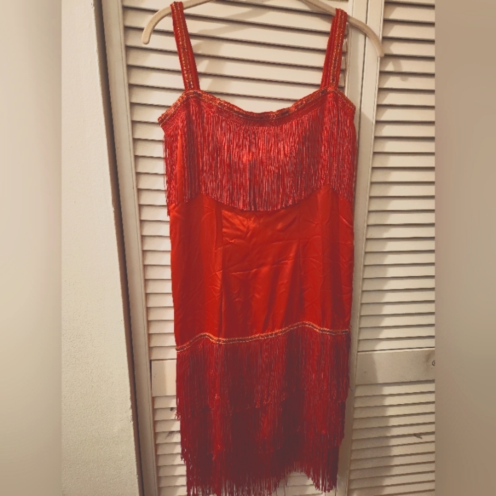 1920's Shaker Dress Halloween Costume